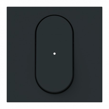 NIESSEN 2CLA880138A1501 2CLA880138A1501 8801.38 NT NIESSEN Switch key w/NT visor